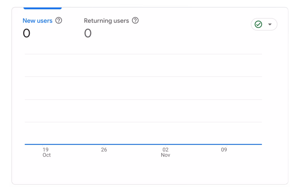 a screenshot of a graph showing no website traffic